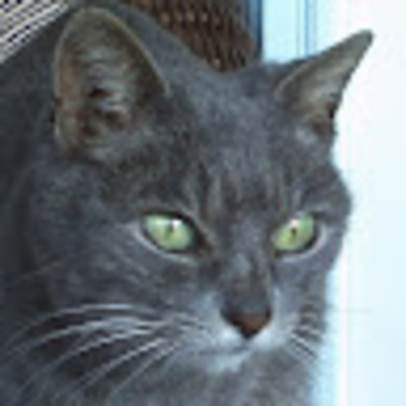 Meet your Posher, Kevin - Picture 1 of 1